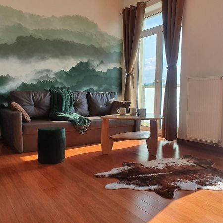 Апартаменти Apartman S Wellness Карлові Вари Екстер'єр фото