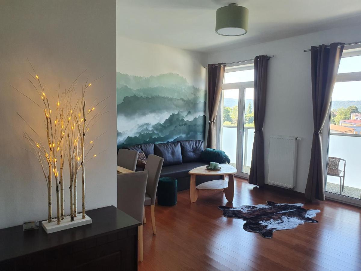 Апартаменти Apartman S Wellness Карлові Вари Екстер'єр фото