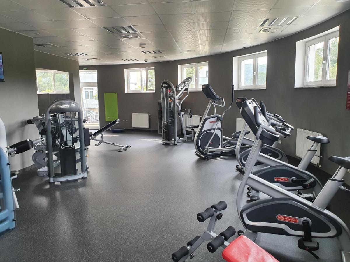 Апартаменти Apartman S Wellness Карлові Вари Екстер'єр фото